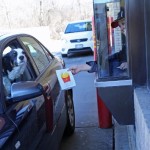 One-Sixth of Fast-Food Orders Are Going to the Dogs