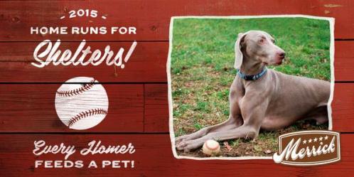 homeruns for shelters merrick pet care