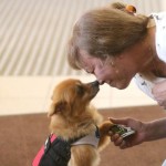 Firefighters and Cops Get New Pomeranian for Grieving Dog Mom