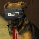 ‘Pawculus’ is First-Ever Virtual Reality Game for Dogs