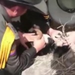 Good Cops! Watch Police Officers Rescue Dog from Raging Colombia River