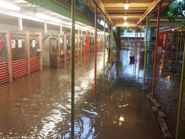 Austin Pets Alive flooded shelter