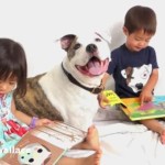 What It Really Means to Be ‘Like a Pit’ (Video)