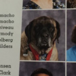 Aww: High School Yearbook Includes Photos of Service Dogs