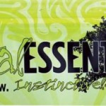 RECALL ALERT: Vital Essentials Frozen Beef Tripe Dog Food