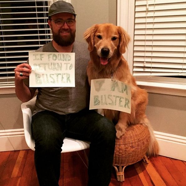Lost4Dogs Fourth of July campaign Buster