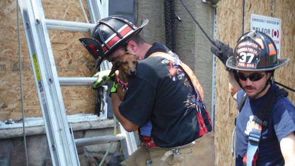 firefighter rescues dachshund day after house fire