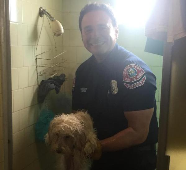 firefighter saves dog with paw stuck in bathtub drain
