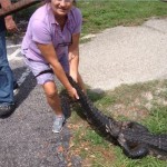 Fearless Florida Woman Grabs Alligator, Saving Her Dog