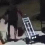 Grrr: UPS Driver Kicks Therapy Dog, Injures Owner’s Rib