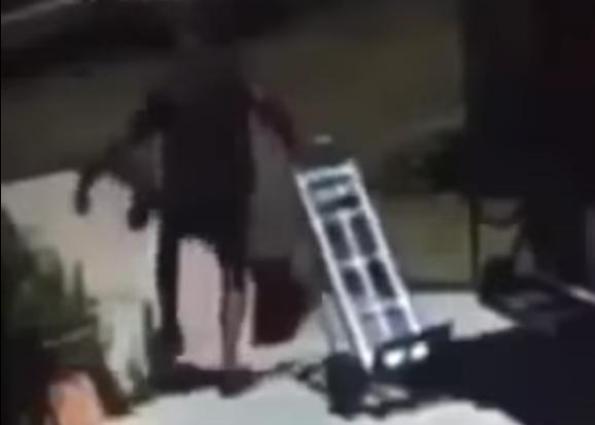UPS driver kicks dog