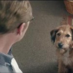 ‘Absolutely Anything’ Stars Robin Williams as Voice of Talking Dog