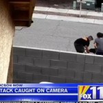 Black Lab Attacks Tucson Boy and His Pit Bull