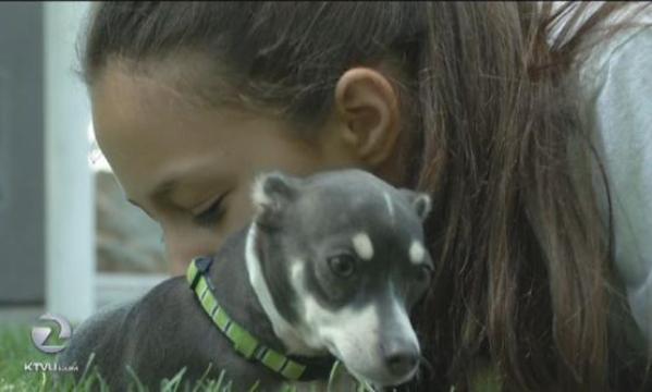 burned dog adopted by burn victim