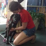 Over 17,600 Pets Find Forever Homes on Clear the Shelters Day