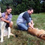 10 Years Later, Rescued Katrina Dogs Reunite