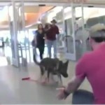 Watch a Former Soldier Reunite with His K-9 Partner After 3 Years