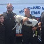 Pit Bull Survives 200-foot Jump Thanks to Emergency Responders