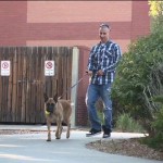 Four Years Later, Soldier Reunited with Abandoned Bomb-Sniffing Dog