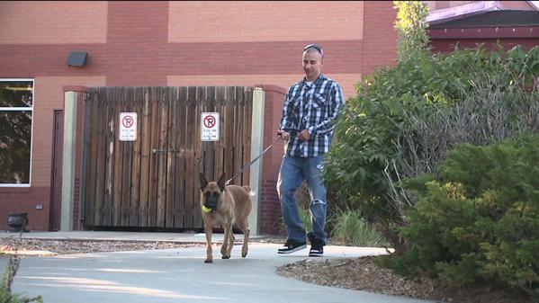 soldier reunited with military dog