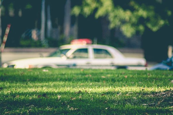 police dogs die in hot squad cars