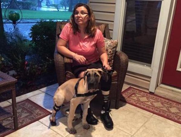 amputee adopts Great Dane with three legs