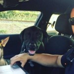 Virginia Police Officer Gives 2 Lost Dogs a Ride Home