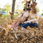 LOL: Dachshund Photobombs Engagement Photo