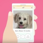Amy Poehler’s New ‘Heavy Petting’ Web Series Helps Dogs Get Adopted