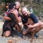 Rescued ‘Hugging’ Shelter Dogs Finally in Forever Home Together