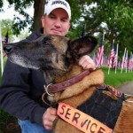 Retired Hero Military Dog ‘Major Mike’ Shot Dead by Bicyclist