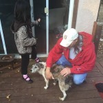 Dog Dad Rescues Shepherd Mix from Mountain Lion’s Mouth