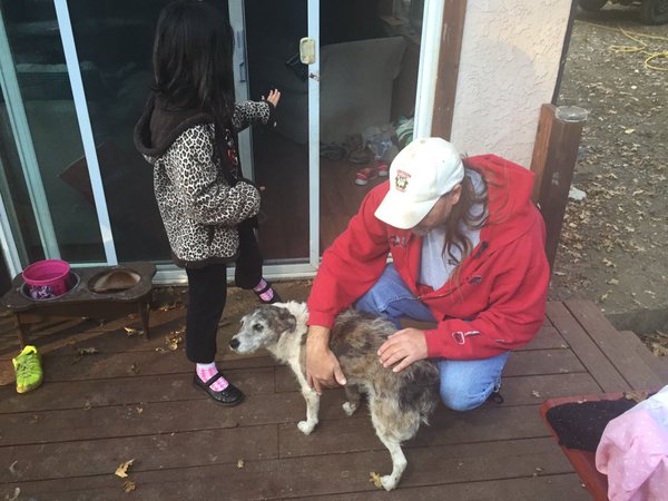 man saves dog from mountain lion