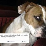 3 Women Make Disturbing Facebook Posts About Their Dogs