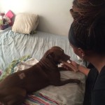 Off-Duty Cop at Dog Park Shoots Deaf Woman’s ‘Aggressive’ Service Dog