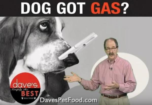 Dave's Simply the Best dog food recall