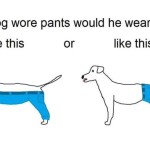Raging New Internet Debate: How Would a Dog Wear Pants?