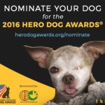 Nominate Your Own ‘Superdog’ for a Hero Dog Award
