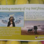 California Man Sends Strangers Tennis Balls in Memory of His Beloved Dog