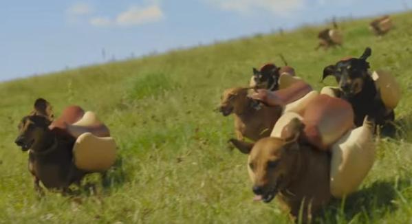 Heinz Weiner Stampede Super Bowl 50 commercial