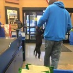 PetSmart Employees Apparently OK with Customer Carrying Dog by Collar