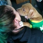 Once Again, Uber Delivers Adoptable Puppies for 15 Minutes of Pure Joy