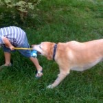 The Top 35 Words We Say to Our Dogs