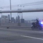 Watch This CHP ‘High-Speed’ Pursuit…of a Chihuahua