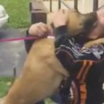 Tissue (Box) Alert! Man Reunited with Dog After 2 Years Apart