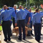 R.I.P. Bretagne, Last Surviving 9/11 Search-and-Rescue Dog