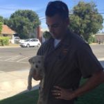 UPS Driver Rescues Puppy Dumped on Road