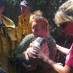 Firefighters Rescue 14-Year-Old Bulldog Trapped in Well for 4 Days