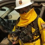 Dog Runs from Burning House in California Wildfire and Leaps into Firefighter’s Arms