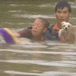 Watch Heroes Rescue Woman and Dog Trapped in Louisiana Flood